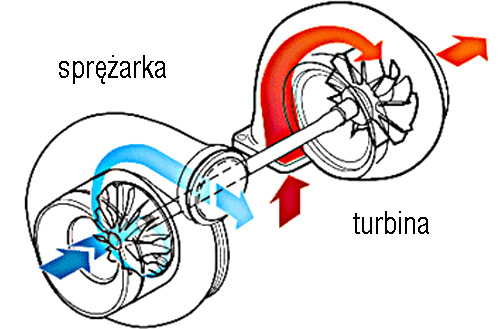 Obrazek