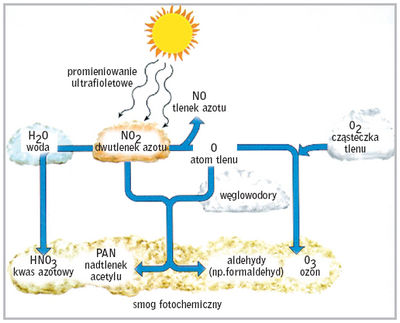Przyczyny i skutki powstawania smogu fotochemicznego
