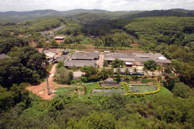 Plantacja Bahia