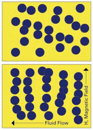 Zasada systemu magneto-reologicznego. U góry: swobodny rozkład cząstek żelaza w zawiesinie. U dołu: efekt działania pola magnetycznego