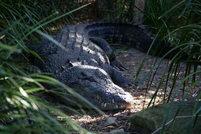 Campus Australia Expedition 2010