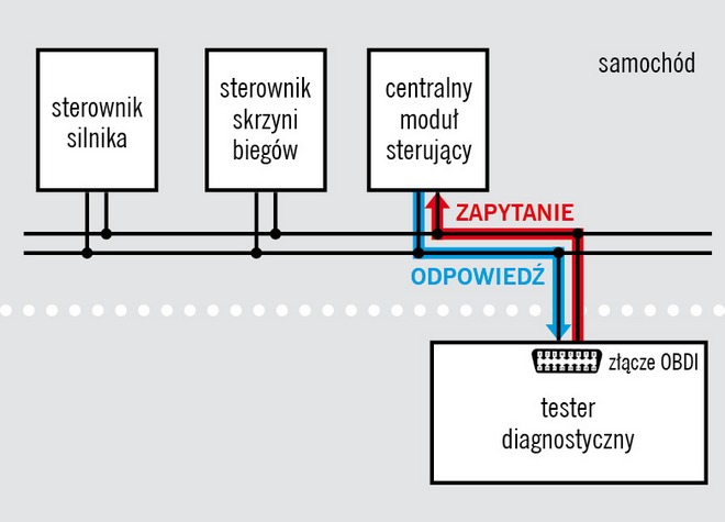 diagnostyka